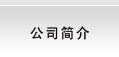 公司简介